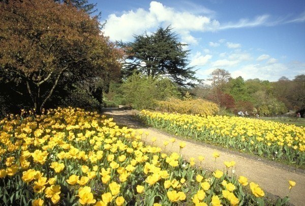 Spring in Newton Perkins' Step